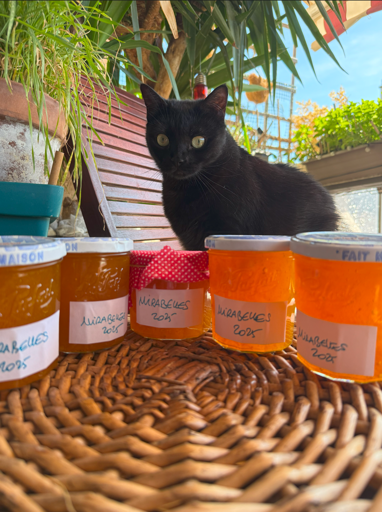 https://www.veroniqueetlachouquetterie.fr/wp-content/uploads/2025/08/Mirabelle01.png