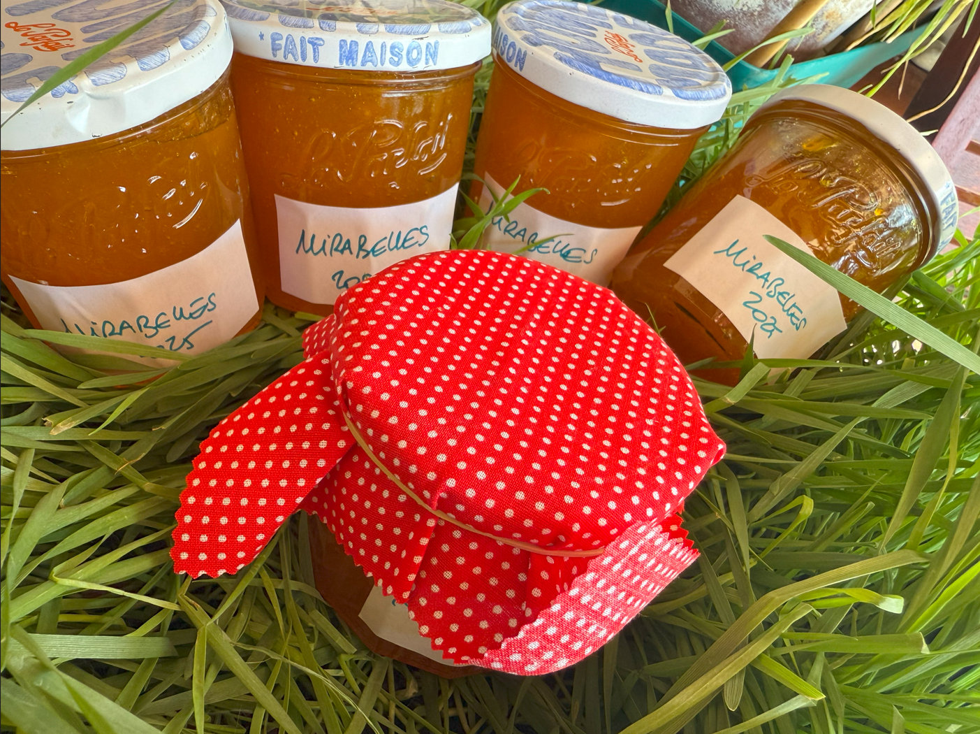 https://www.veroniqueetlachouquetterie.fr/wp-content/uploads/2025/08/Mirabelle02.png