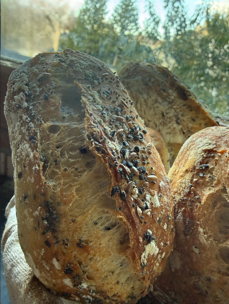https://www.veroniqueetlachouquetterie.fr/wp-content/uploads/2026/09/MesPtitsPains01.png