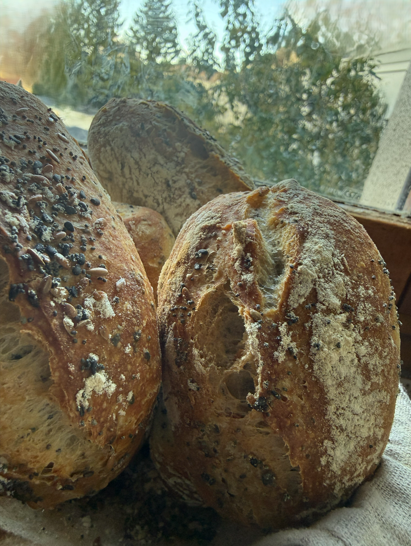 https://www.veroniqueetlachouquetterie.fr/wp-content/uploads/2026/09/MesPtitsPains02.png
