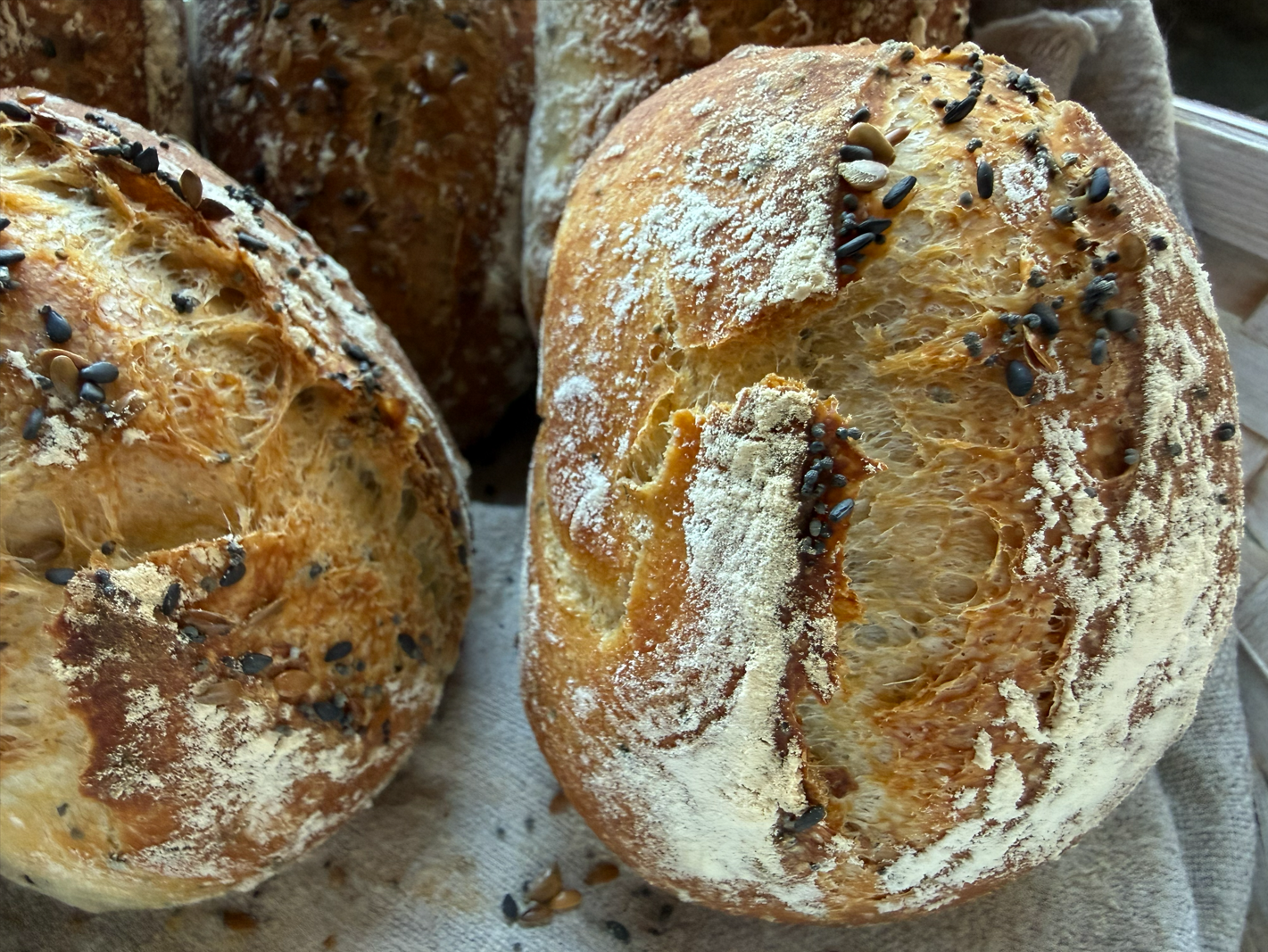 https://www.veroniqueetlachouquetterie.fr/wp-content/uploads/2026/10/PainsGraines01.png